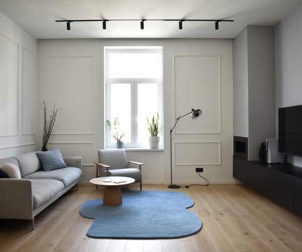 03 - IZVEDENO STANJE