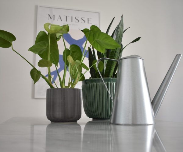 11 - IZVEDENO STANJE